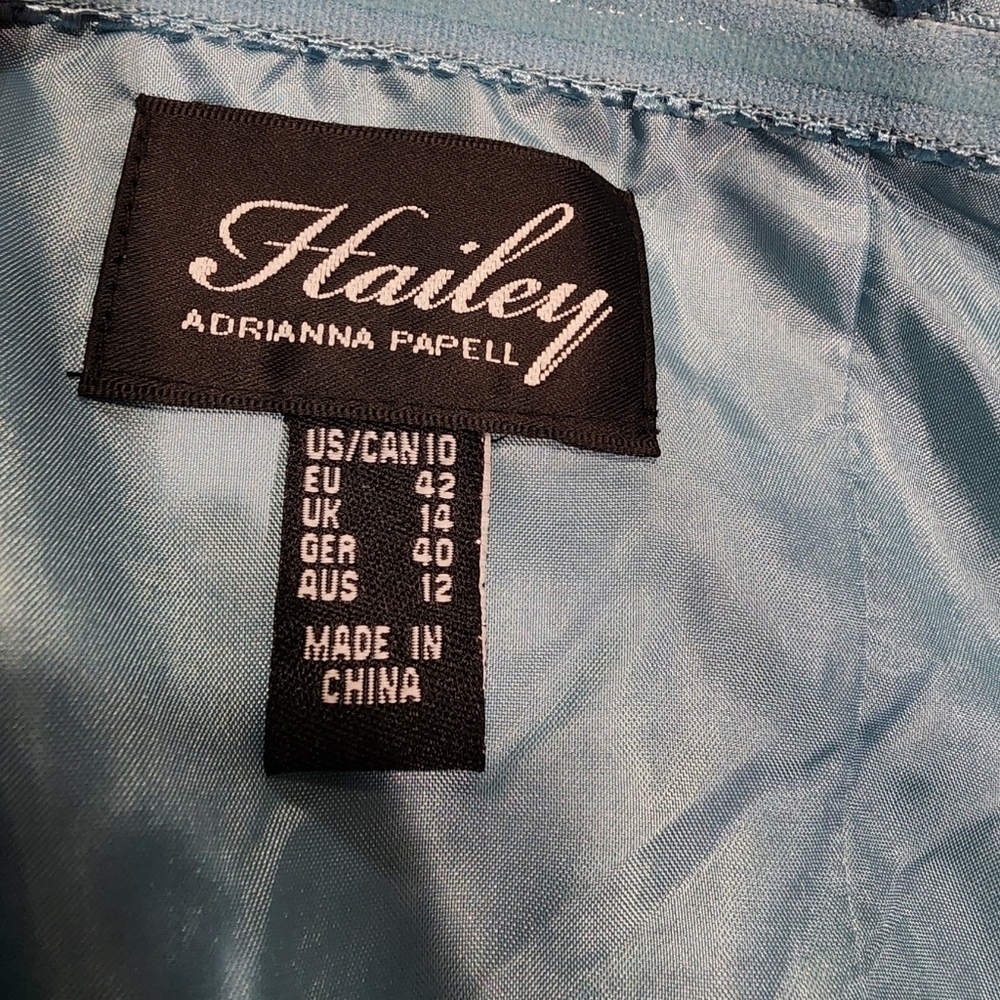 Adrianna Papell Blue Lace Mini Dress - Picture 10 of 14